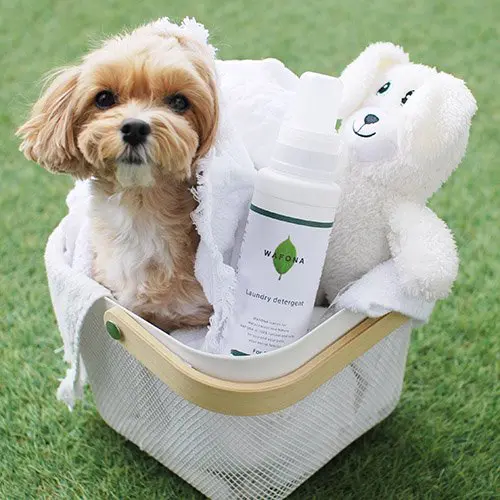 洗濯用洗剤(犬・猫兼用)Laundry Detergent - Bios all laundry